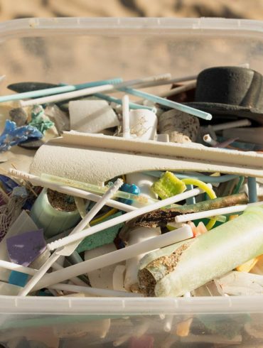 Tupper de plástico con resíduos plásticos como bastoncillos de las orejas, aplicadores de tampón y palos de piruletas y chupa-chups recogidos en la arena de una playa. Poppyns Magazine