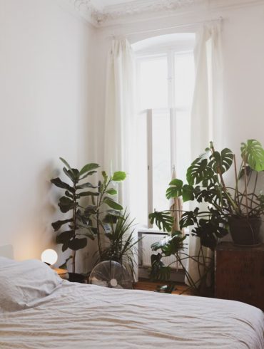 Habitación con plantas y ventana al lado de la cama.