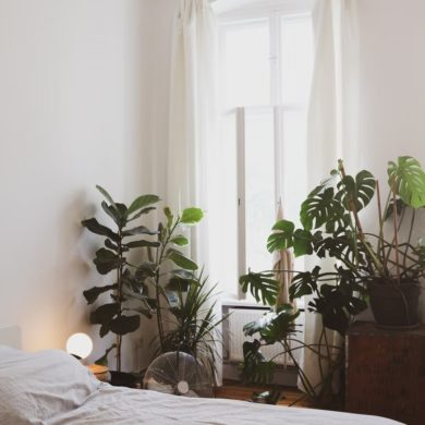 Habitación con plantas y ventana al lado de la cama.