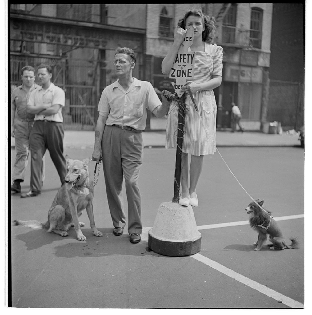 safety zone con perros en los años 50